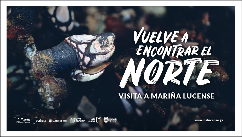A Mariña Lucense — imagen del proyecto