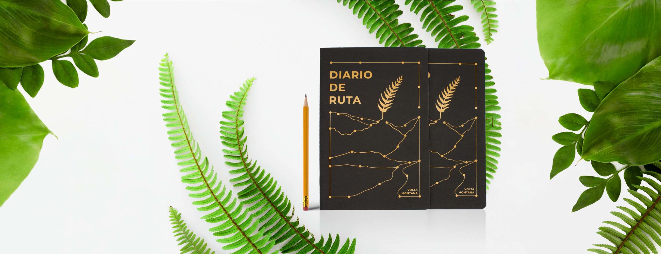 Portada del proyecto Diario de Ruta