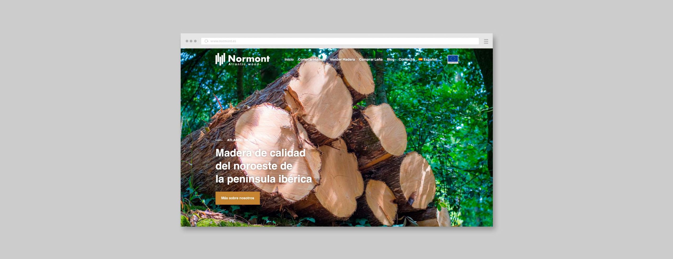 Normont Web — imagen del proyecto