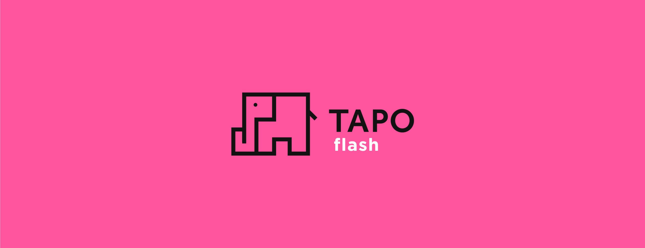 Portada del proyecto TapoFlash